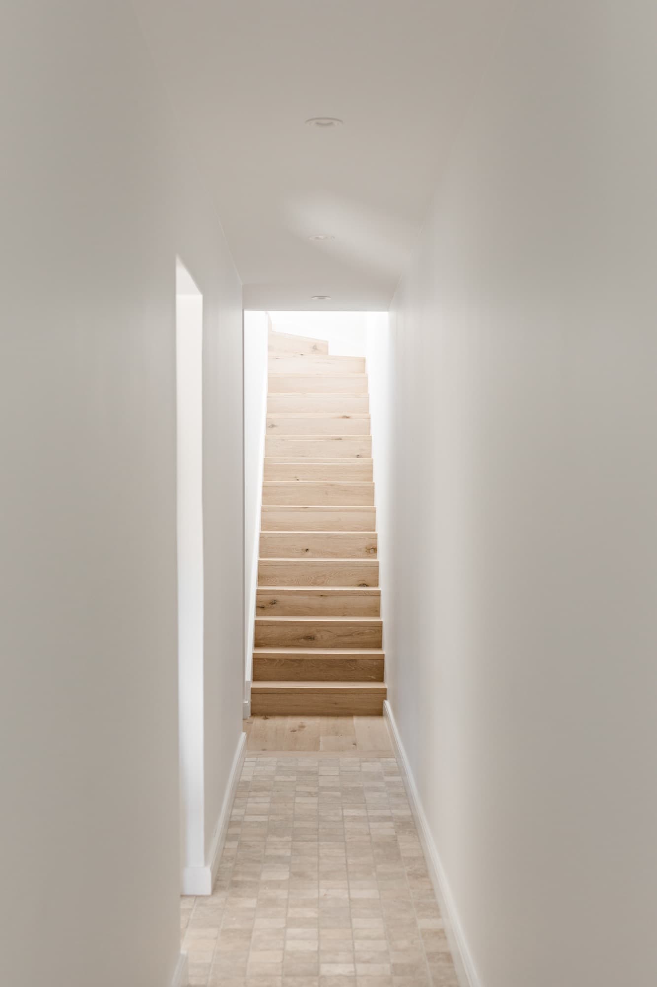 Balmain Terrace — photo 27